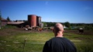 Cow Whisperer Assembles Herd of Cows Probably for World Domination